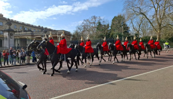 zmiana warty Buckingham Palace