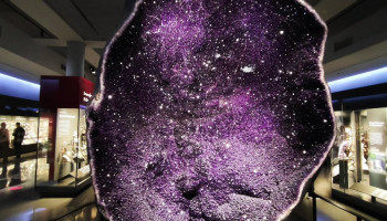 Skała Ametystu z Muzeum Historii Naturalnej w Nowym Jorku