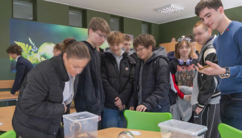 Wystawa w „Zielonej pracowni”